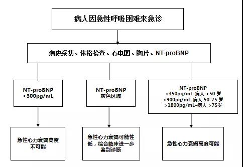 急性心衰的診斷流程