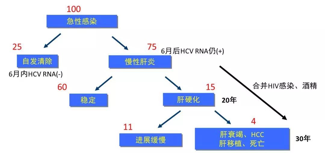 丙肝檢測的弱陽性究竟是不是感染了丙肝？