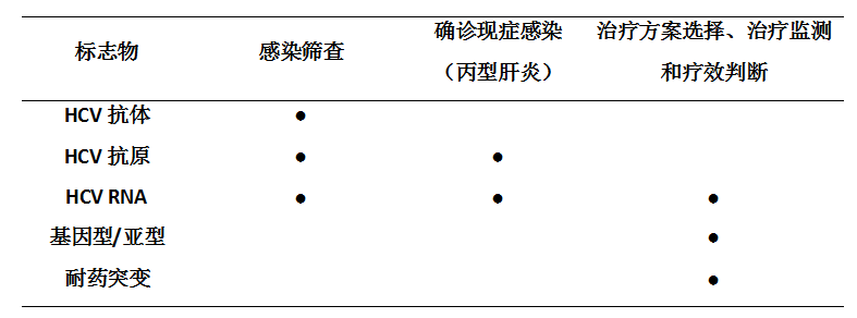 現(xiàn)階段HCV檢驗(yàn)標(biāo)志物及臨床意義