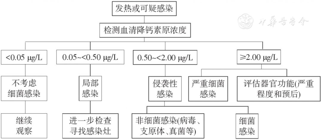 血清降鈣素原檢測(cè)用于感染相關(guān)疾病鑒別診斷程序圖